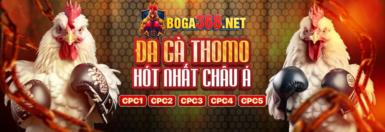 Hỗ trợ khách hàng v888now