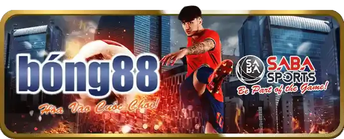 Tải ứng dụng v888now cho Android